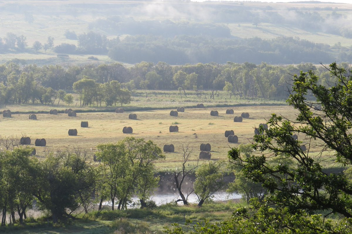Nerbas Bros. Angus tweet media