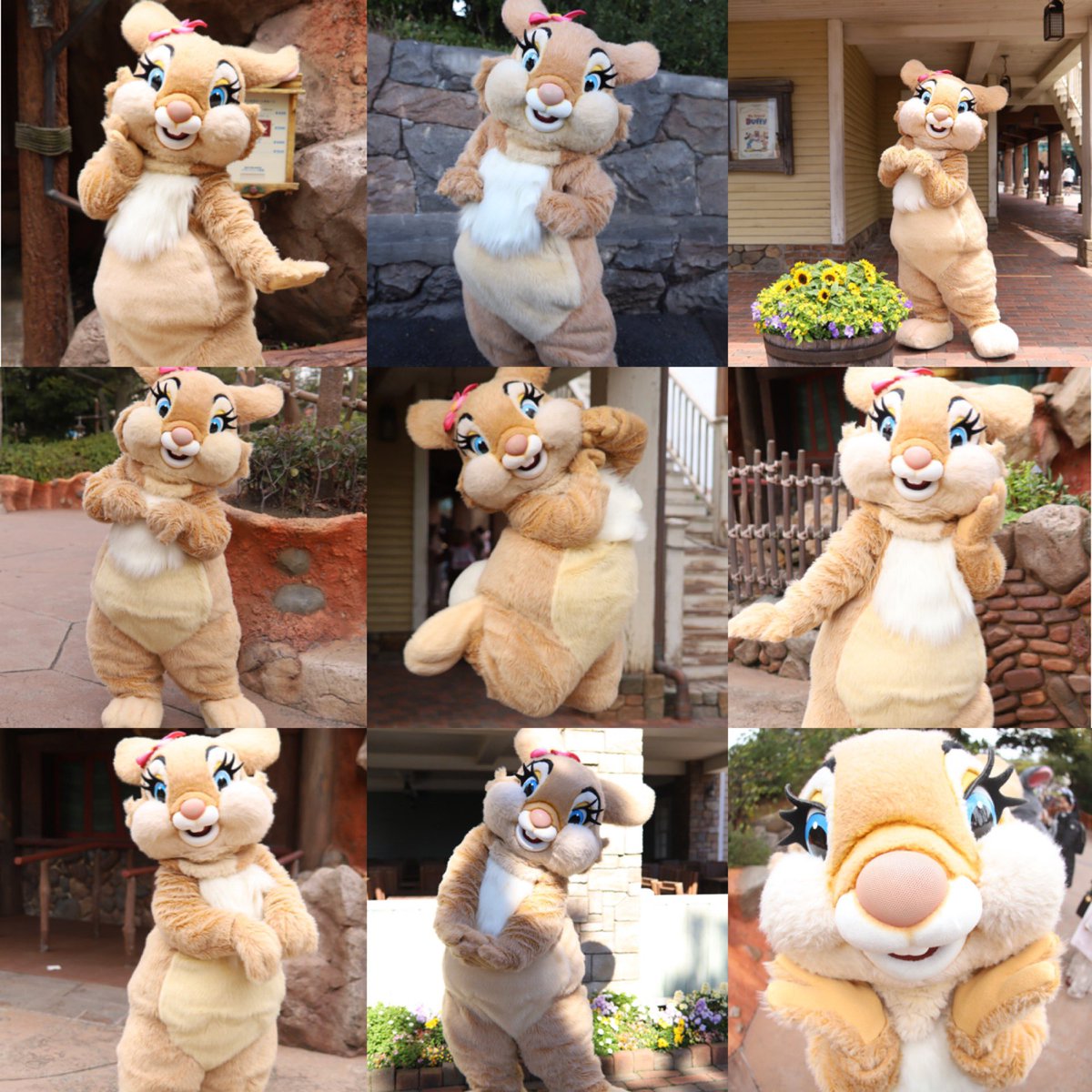 とんだふ tweet media