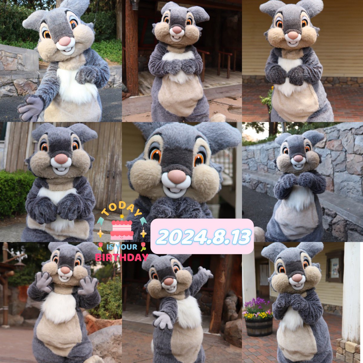 とんだふ tweet media