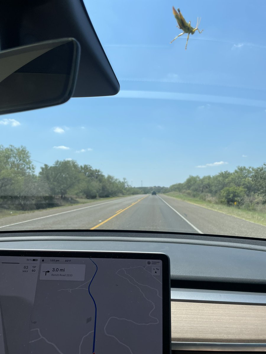GitPushAll's tweet image. Any time I feel like giving up I’m going to think of this grasshopper who hung onto my windshield at 60+mph for 20 miles.