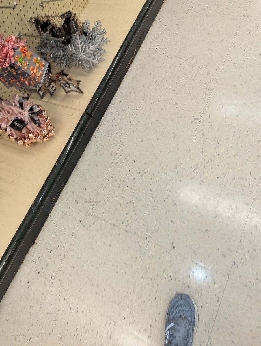 Susan Abel🚢⚓ Daily Journaler & Writer ✍ tweet media