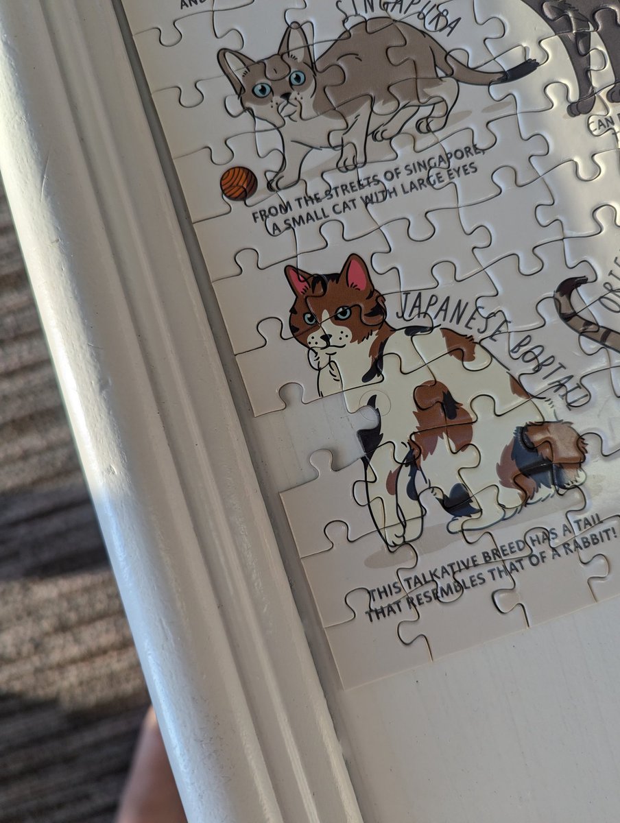 bmilesp's tweet photo. @ridleysgames we opened the brand new bag, emptied them on the table, spent hours on this puzzle, only to find a single piece missing. We scoured the house. Anyway we can get this piece? https://t.co/7wdxqElKVc