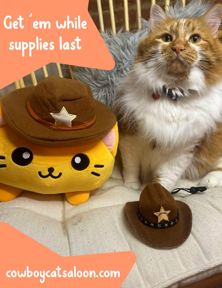 Be sure to wrangle 'em before it's too late! Cowboycatsaloon.com