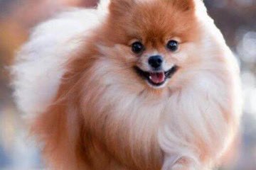 Tendencias en Argentina tweet media