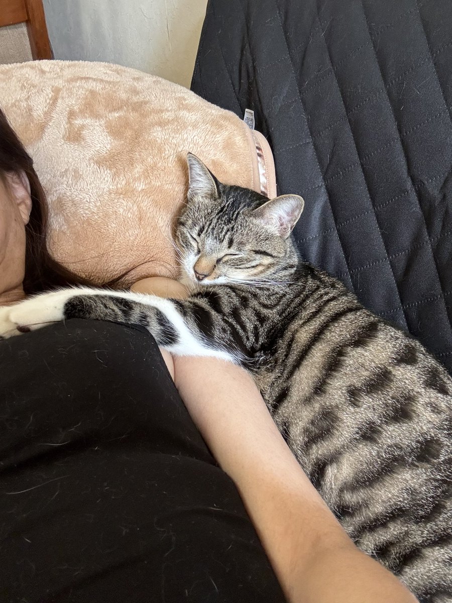 椎名 桃@しーももは緑推し tweet media