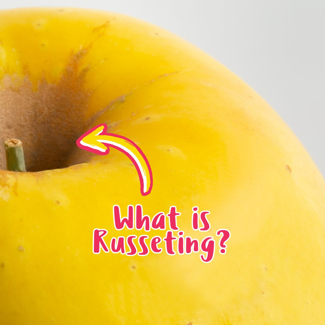 Opal Apple tweet media