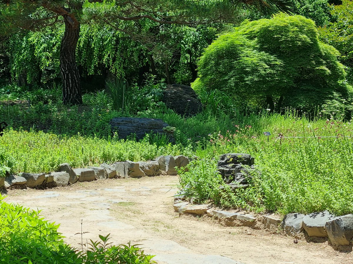 DaccNag2438's tweet photo. A sunlit forest path, where flowers greet you, and nature's tranquility fills your heart.
#ForestPath #Nature #FlowerPath #Serenity #Sunlight #Scenic #Healing #NatureBeauty
햇살이 스며든 숲속 오솔길, 꽃들이 반기며 자연의 평온함이 마음을 채운다
#숲속 #오솔길 #자연 #꽃길 #평온함 #서정적 #햇살 #풍경 #힐링 #자연의아름다움