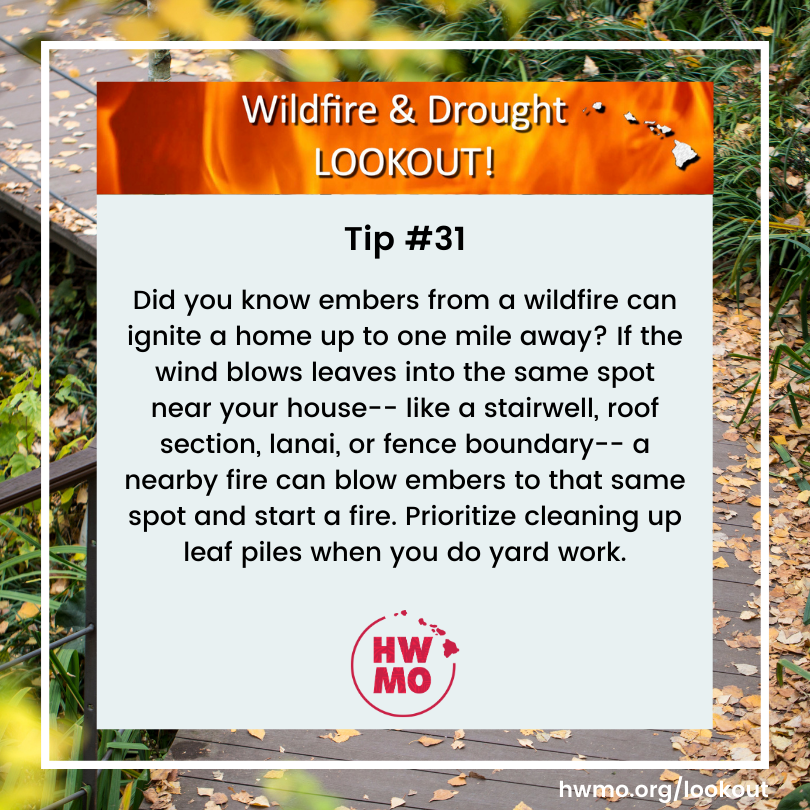 HawaiiWildfire's tweet photo. Where does leaf litter and plant debris accumulate around YOUR house? Keep those flammable materials cleaned up and reduce your risk!
#WildfireReadyHI #WildfireReady #wildfireprepared #wildfire #WildfireDroughtLookout #DoYourPart #HWMO #Hawaii #Maui #Molokai #Lanai #Oahu #Kauai https://t.co/u91XATWN2N