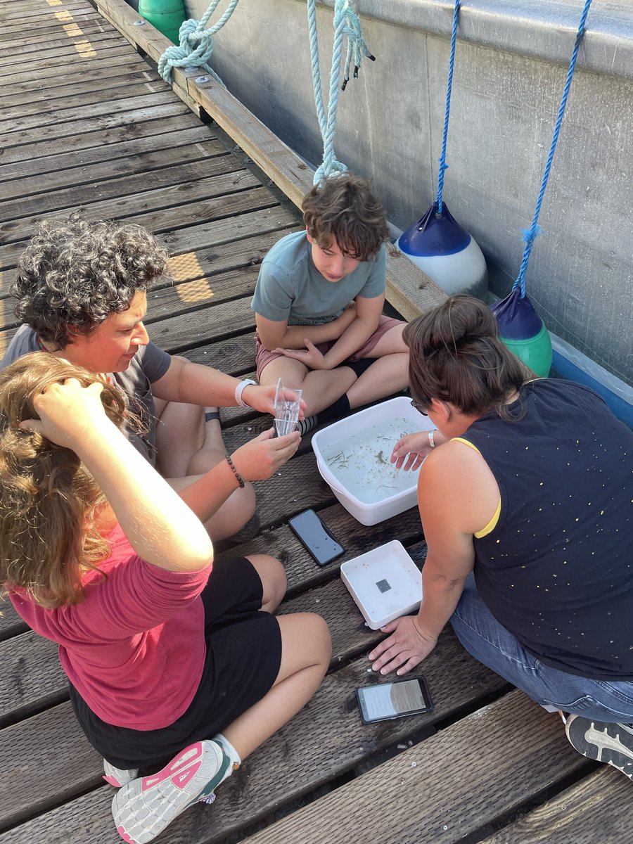 IMERSS_labs's tweet photo. Counting crab babies with Jeannine Dawn and family. Sentinels of Change Dungeness crab larvae monitoring.
#SentinelsOfChange @HakaiInstitute #CommunityScience #WhalerBay #Galiano #GalianoIsland #IMERSS https://t.co/5CdTHPWaaV