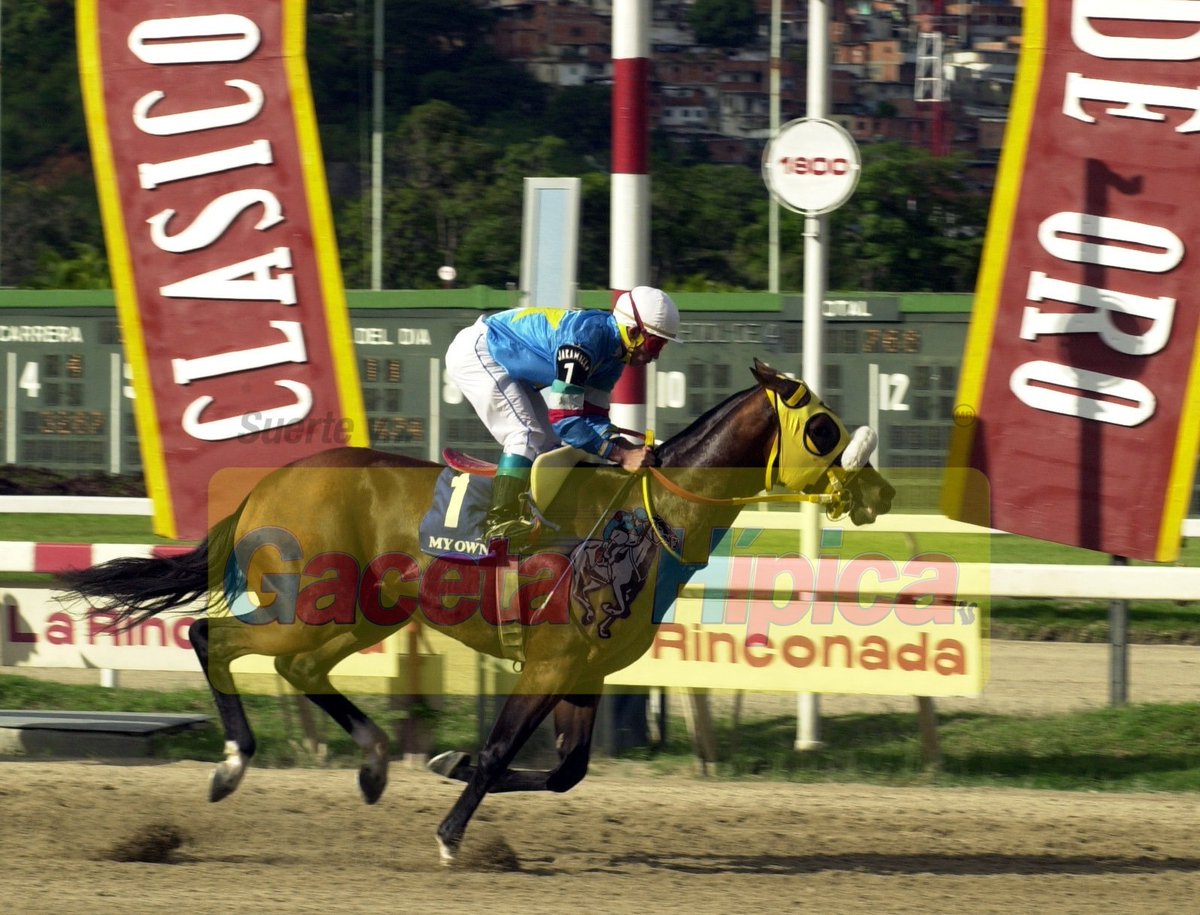 Gacetahipica's tweet photo. Tal día como hoy, pero en 2011 fue sacrificado My Own Business, para muchos hípicos el mejor caballo de la historia. 🐴🤍

#Hipismo #Meridiano #GacetaHipica #SuerteYGacetaHipica https://t.co/CmijJ9FeC6