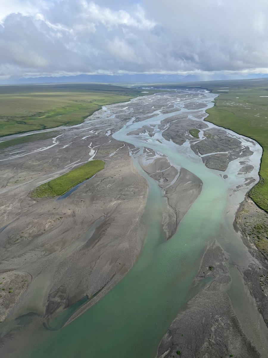 Marisa Repasch tweet media