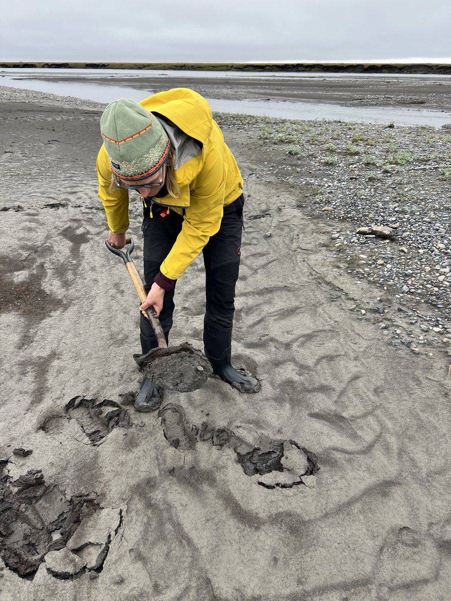 Marisa Repasch tweet media