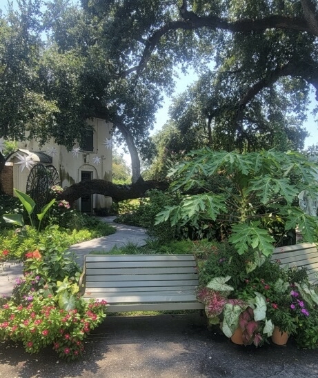 We have many places to rest and take in the beauty of Houmas House