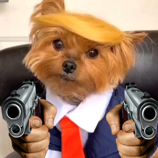 GUNS OUT FOR $TDOG ALL THE WAY TO MILLIONS
