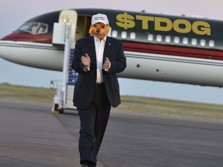 Good vibes, riding in style. $TDOG