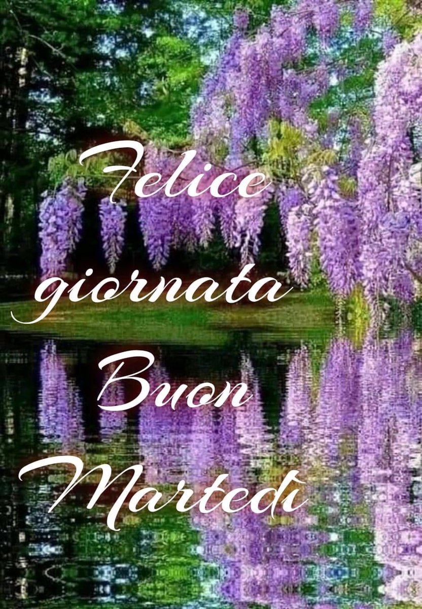 RITABIANCHi56 tweet media