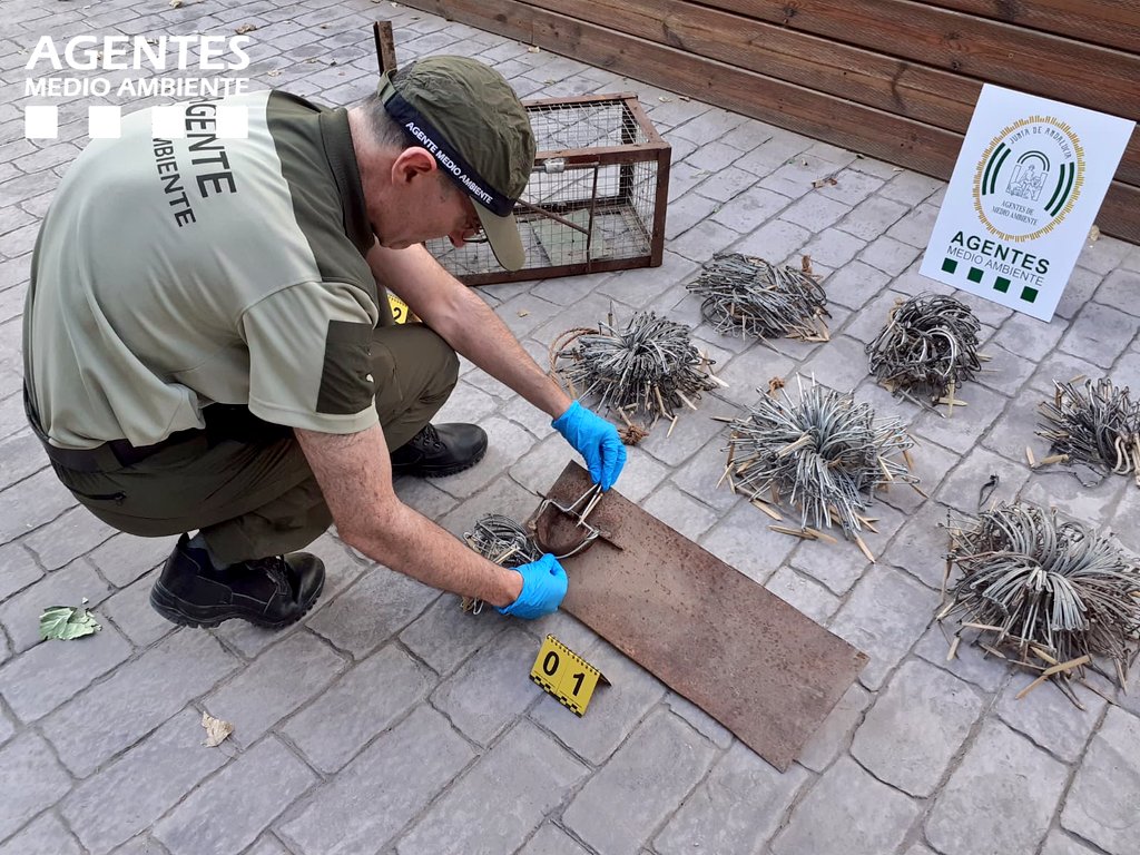 AAMM_And's tweet photo. Y un nueva intervención en #Granada contra la fabricación y uso de #ArtesProhibidas. #AAMM @AAMM_And intervienen y decomisan a un particular, 272 "costillas", más la matriz o troquel con la que se fabricaban. A ello se añadió, una jaula para el control de predadores. https://t.co/252EnRshP1