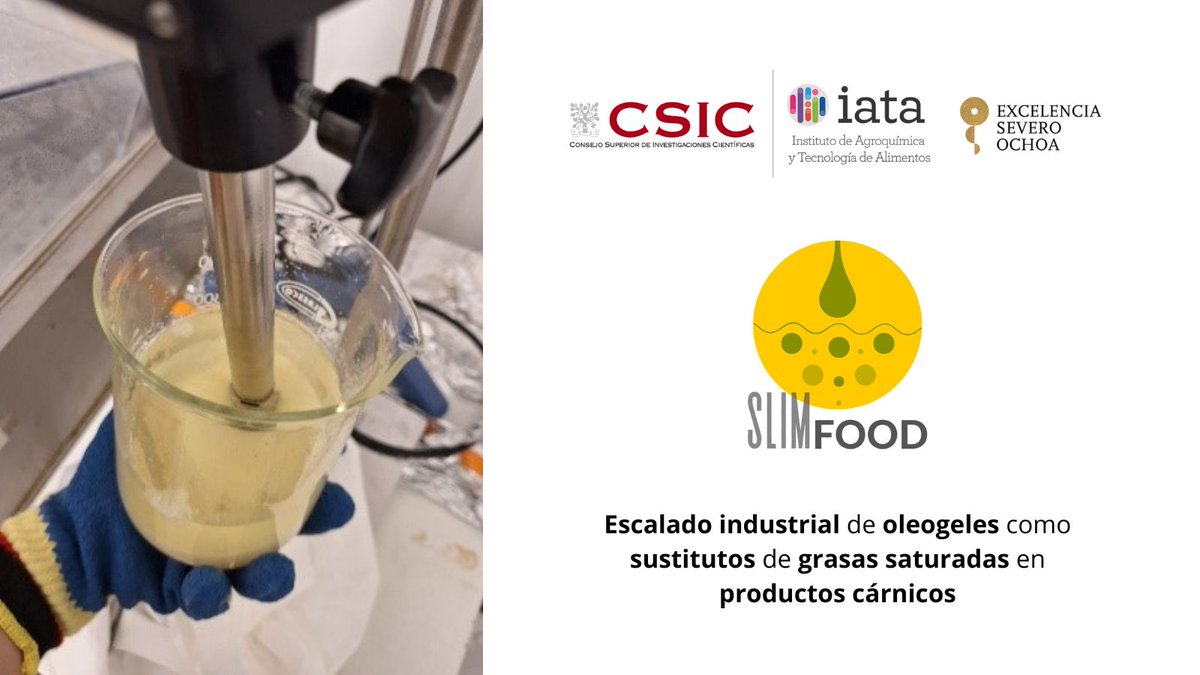 Tras resultados prometedores en el laboratorio, en #SLIMFOOD trabajamos con empresas en el #escalado industrial de #emulsionesgelificadas para sustituir las #grasassaturadas en #productoscárnicos.
Más información en: biofun.csic.es/portfolio/slim…
<a href="/AgEInves/">Agencia Estatal de Investigación</a> <a href="/CienciaGob/">Ministerio de Ciencia, Innovación y Universidades</a> <a href="/iata_csic/">IATA CSIC</a>