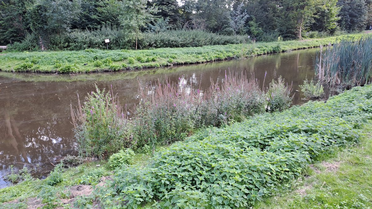 Hannes Wilms tweet media