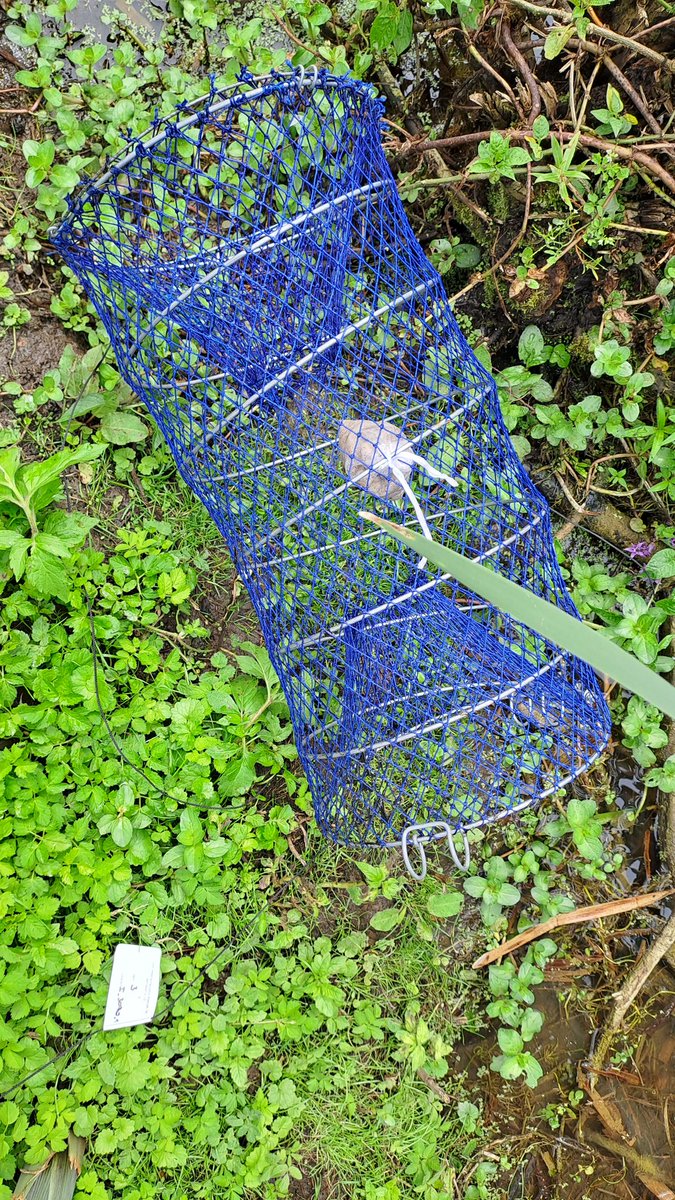 Hannes Wilms tweet media