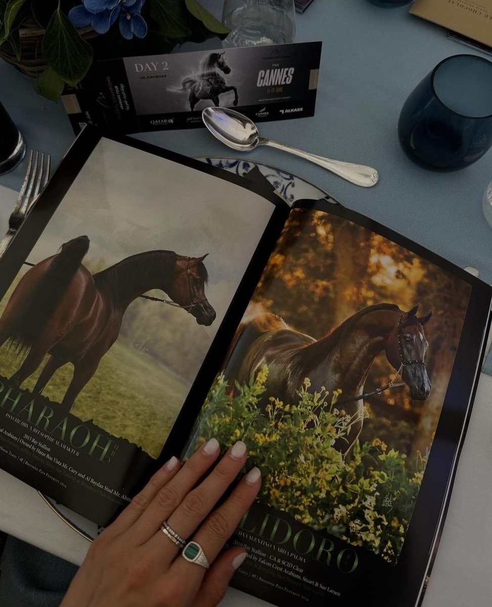 goodfeIIaz's tweet image. Arabians tour closing ceremony

📍 Cannes, French Riviera, France