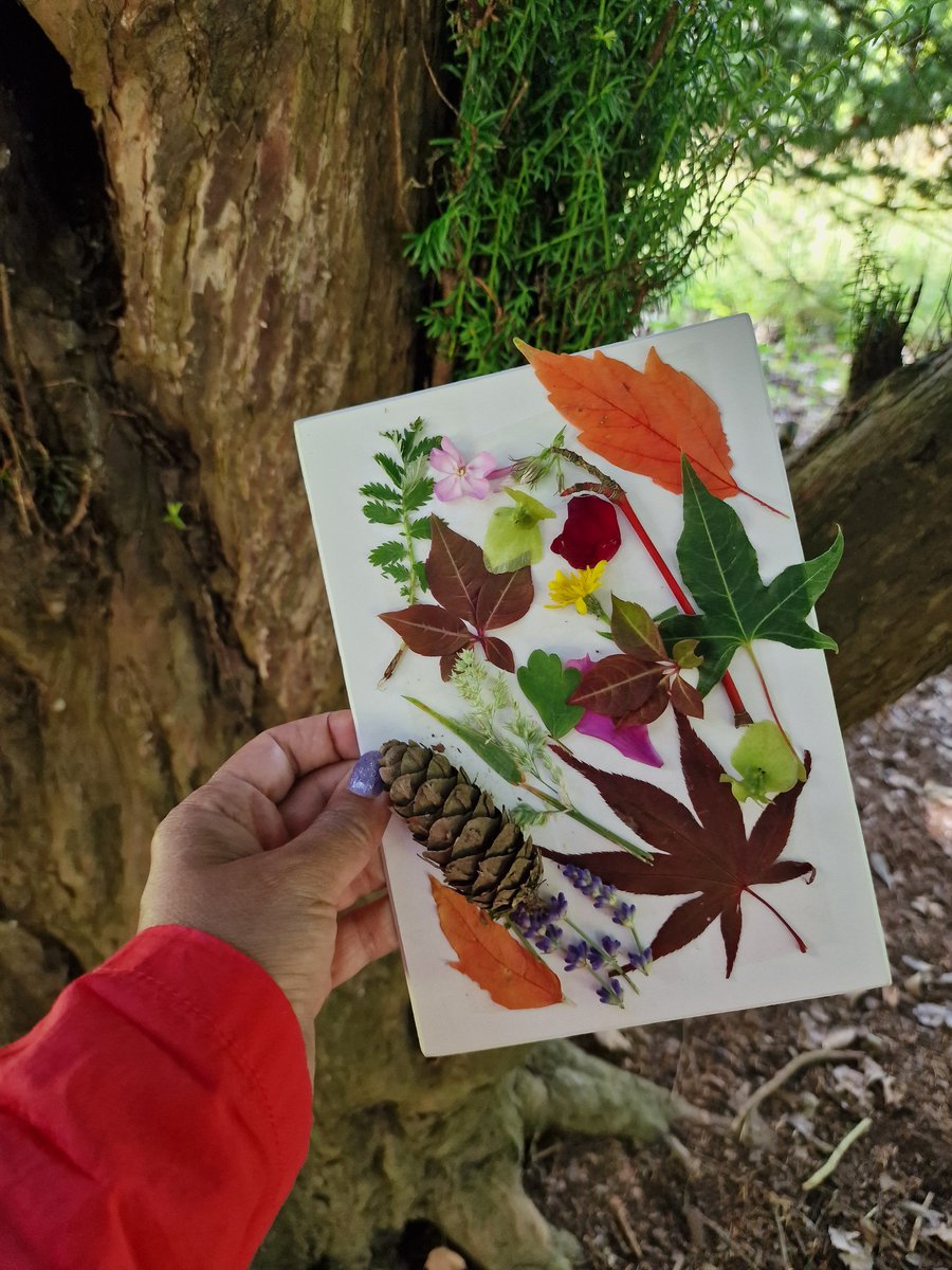 POC who write, do the deep antiracism wk~what toll have recent events taken-on their MH &amp; WB? How are they healing, recovering, processing again? TY <a href="/ForestryEngland/">Forestry England</a> for org a day of healing~nature art, walking, meditation &amp; outdoor cooking <a href="/TheMERL/">The Museum of English Rural Life</a>