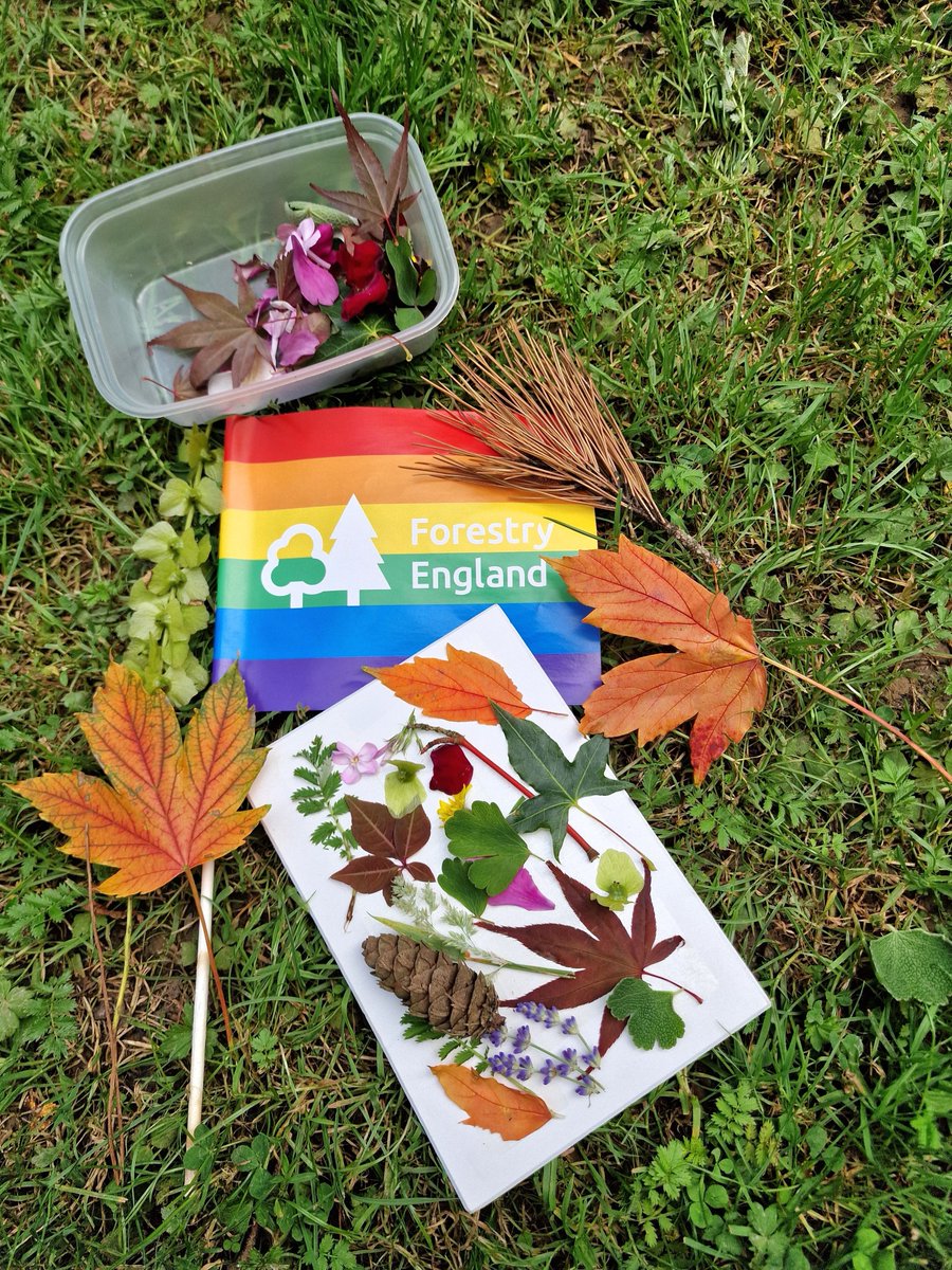 Dr Geeta Ludhra tweet media