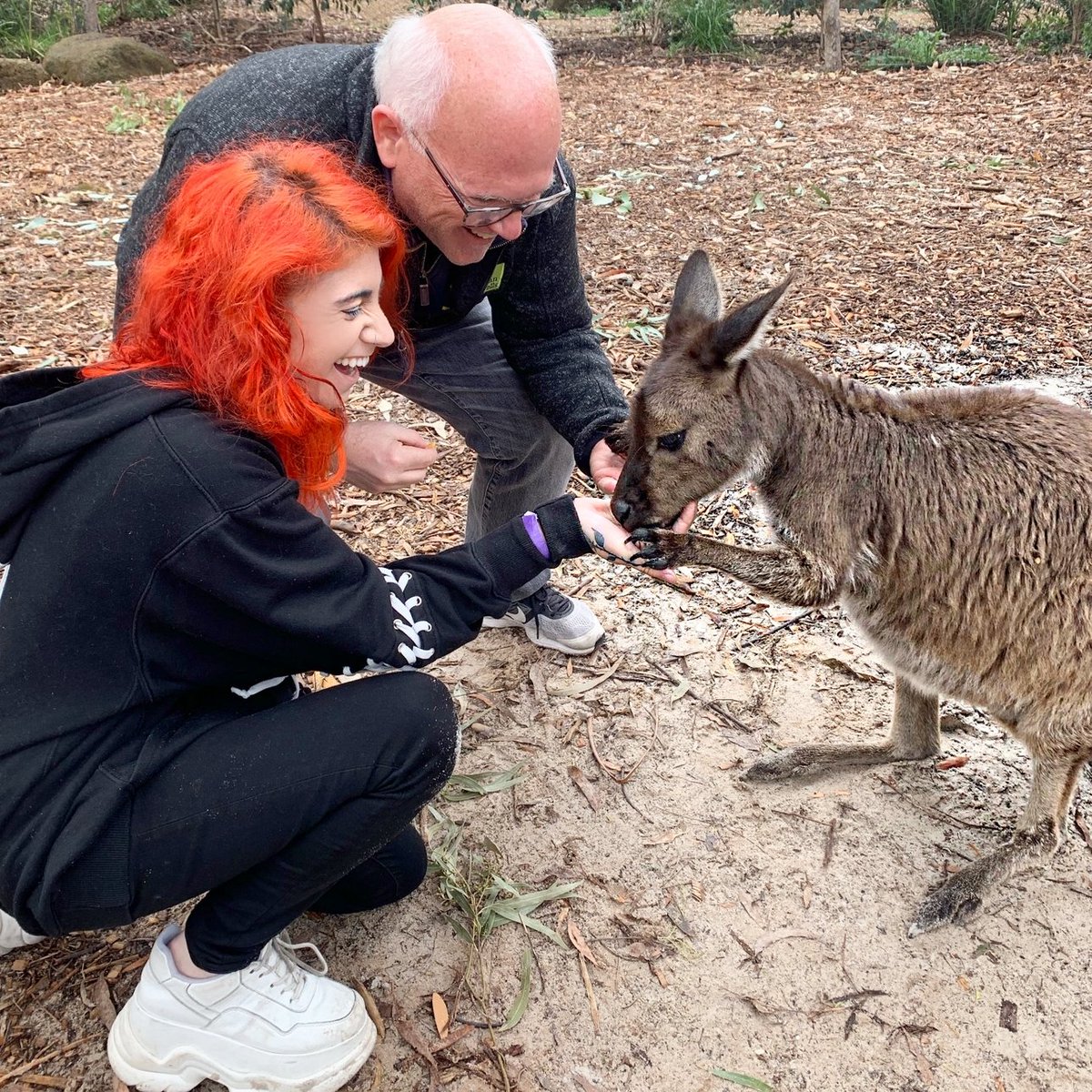 Jen || DECENTRALIZE THE D & F THE SYSTEM tweet media