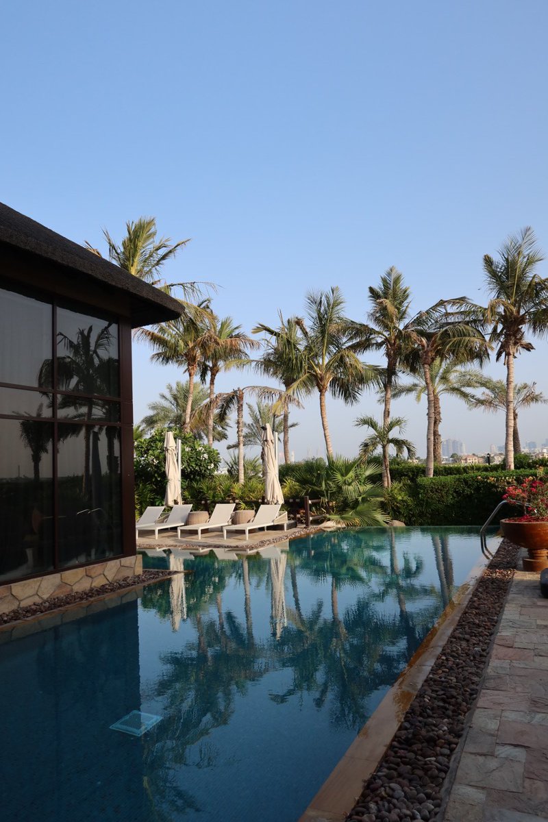 Tiger Line Trading tweet media