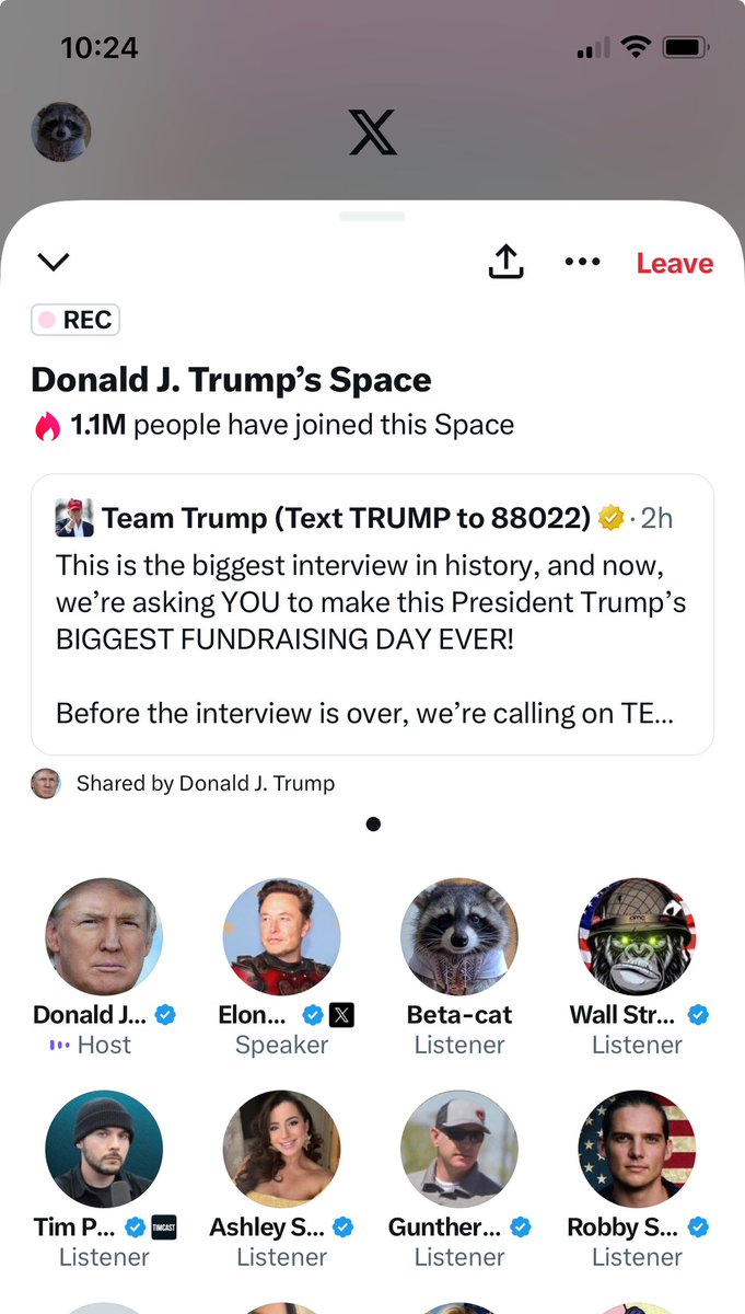 Beta-cat (@betacat16) on Twitter photo 