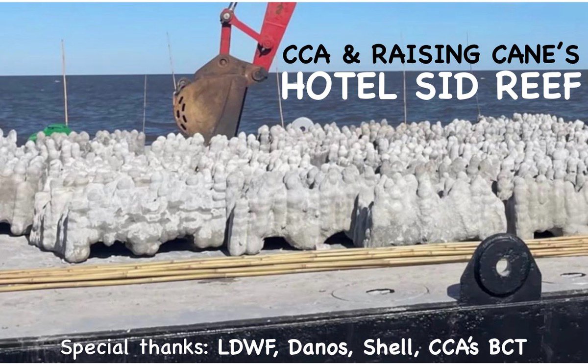 davidcresson's tweet photo. PLEASE SHARE! @CCALouisiana @raisingcanes, @LDWF, Danos, Shell &amp; BCT to build HOTEL SID REEF this week near Grand Isle on the site of the old platforms. Dedication Weds, 11am-Grand Isle Marina, followed by a  construction site visit. Join us!

Join CCA at https://t.co/kX72uaKvW0 https://t.co/JKiDPFnNYt
