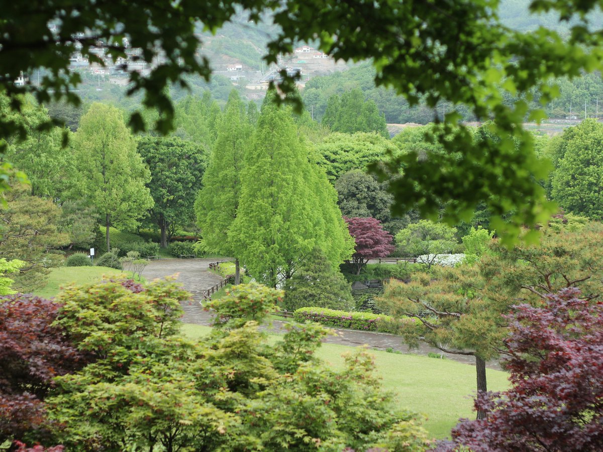 금강수목원엔 벚꽃길도 있고요 이팝나무길도 있고 분홍아까시길도 있고 울창한 나무들이 그득그득 있다구요. 와 이렇게 공들여 만들어진 공간을 민간에 매각한다니 믿기지 않아요. 누군가는 좋겠지만 지금처럼 많은 사람들이 좋아지진 않겠죠.
