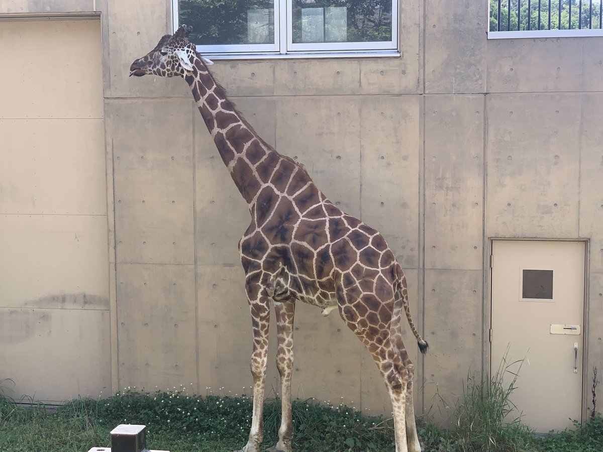 Lambwing1206's tweet photo. 5以上
旭山動物園 https://t.co/juk95XJ86E