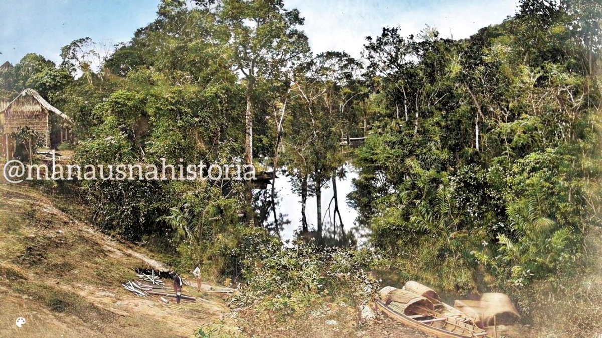 bellamanaos's tweet photo. 1883 -  Igarapé da Bica

Antes de ser aterrado para fins urbanísticos, o Igarapé da Bica serpenteava pelas ruas de Manaus, refletindo a riqueza e o crescimento econômico da época da borracha. Hoje, no lugar onde ele corria, encontramos a Comunidade Bairro do Céu. https://t.co/hSLKvUyWnc