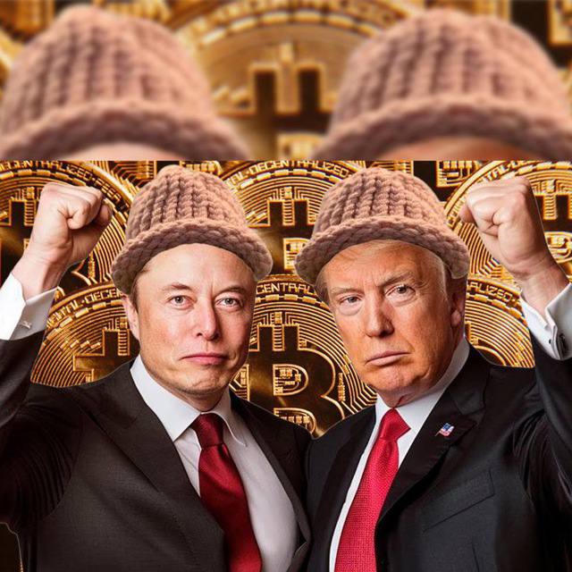 skylar106413818's tweet photo. @AutismCapital #ELONWIFTRUMP is set to go viral, start pumping, and reward those holding strong. Join now and be part of the next big thing!
telegram:https://t.co/HSSoPsojXV https://t.co/TLblP2dWJi