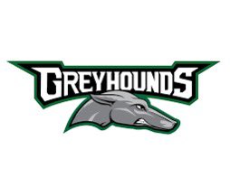 Hope Giddings tweet media