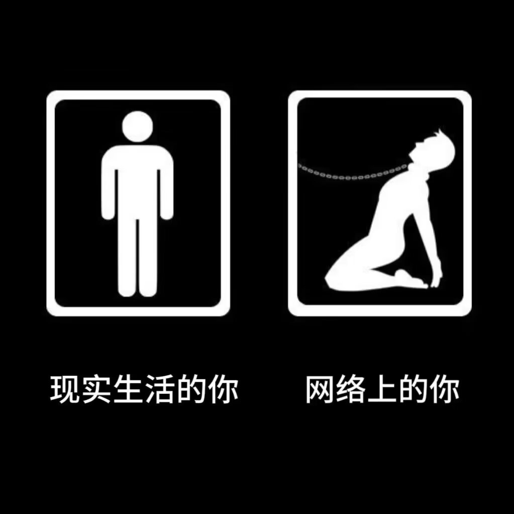 想粗去丸，有木有贱狗接待伺候的