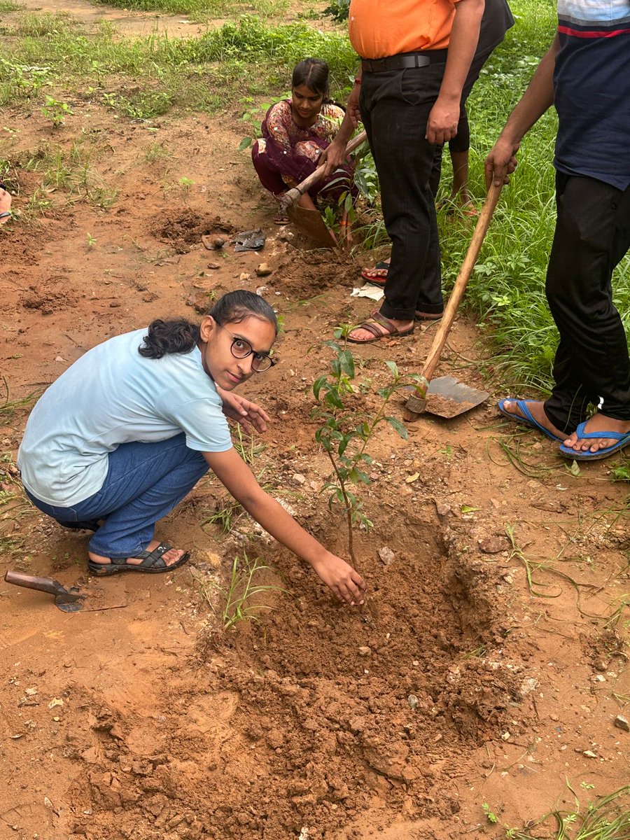 अमृता देवी प्रकृति संवर्धन अभियान बांदीकुई, डिडवाना लालसोट मे वृक्षारोपण...