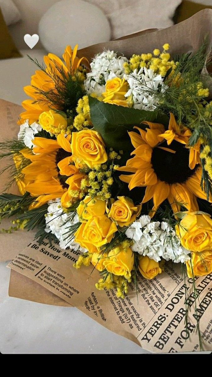 Sunflower🌻 tweet media