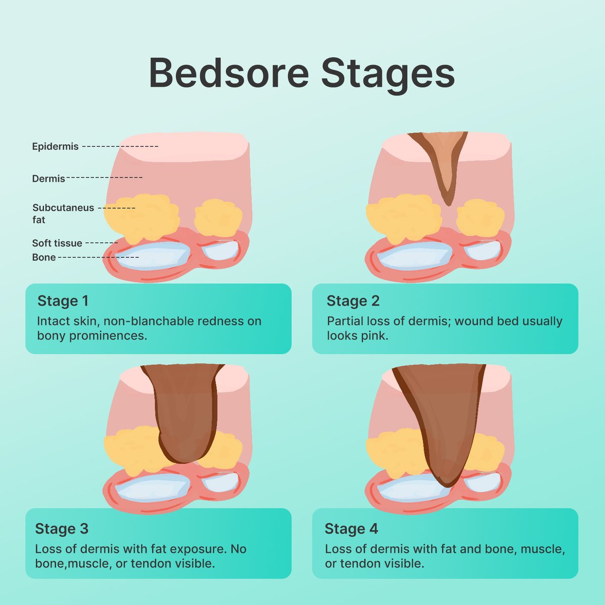 Dimora Medical tweet media