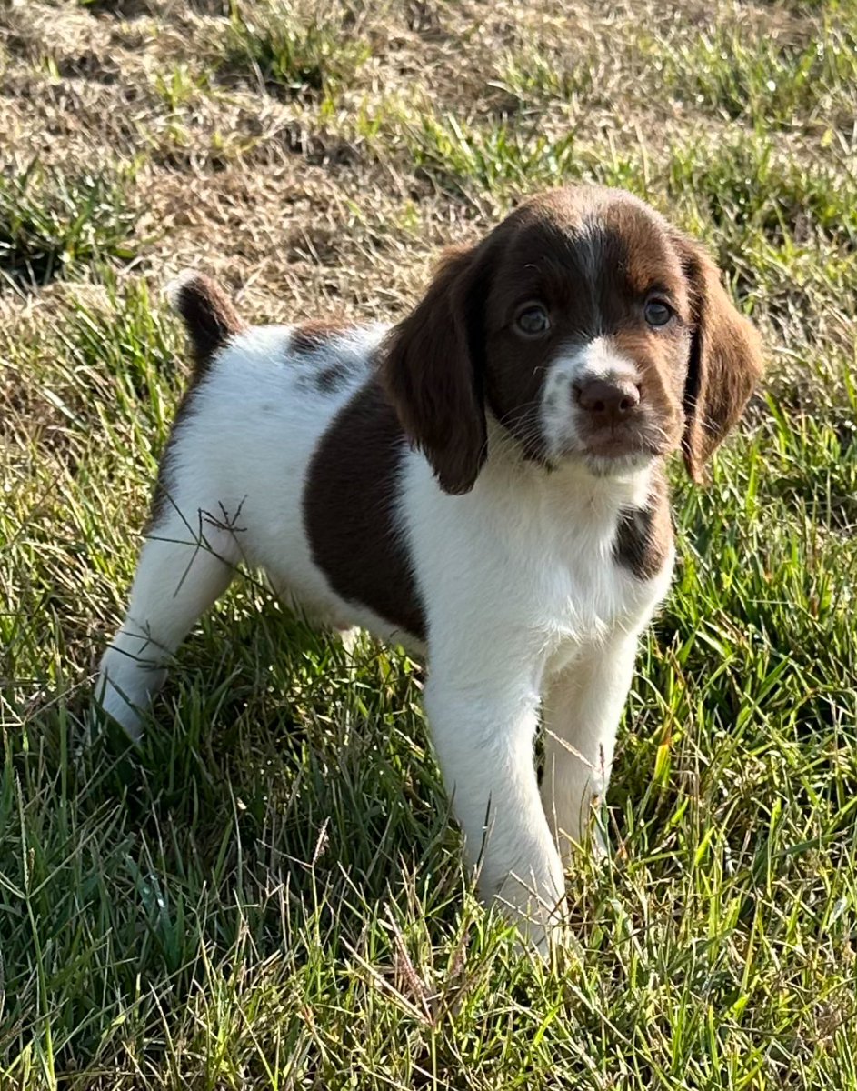 HisandHersLive tweet media