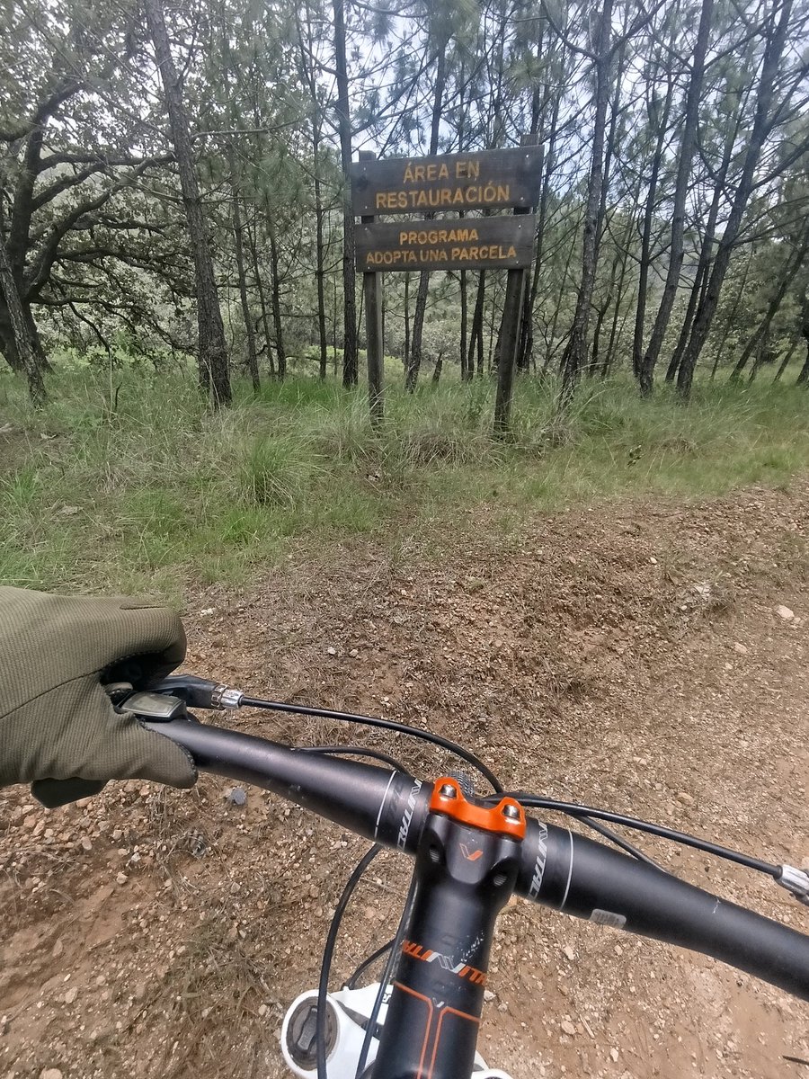 Ecoaventurate's tweet photo. Fin de semana de recreación en bici de montaña #lavidaalairelibreesmejor #mountainbikeriding #recreational #outdoorecreation #recreacionalairelibre #forest #REALJAL https://t.co/8c4yDqipwn