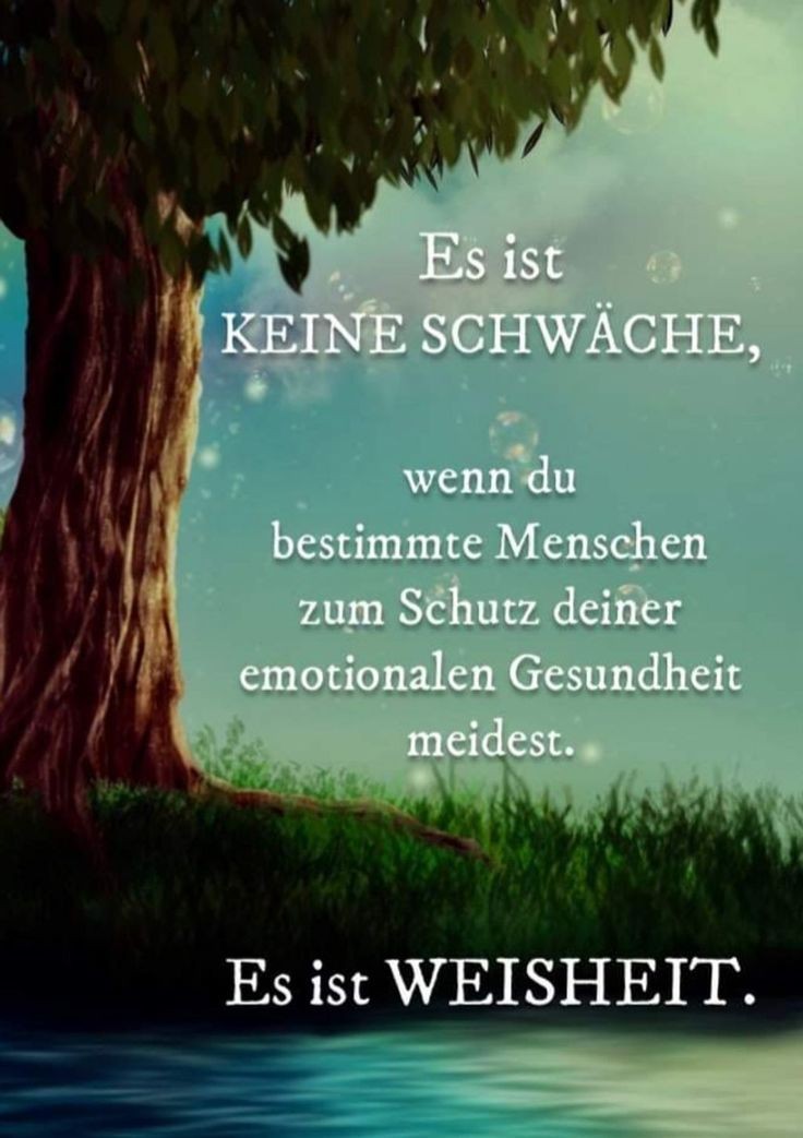 BarbeForFreedom's tweet photo. Guten Morgen, Ihr Lieben.
Ich wünsche euch viele gute Menschen an eurer Seite.
⚘️
Gottes Schutz und Segen in den Tag.
⚘️
#GottesSegen https://t.co/PHvpQHWKOU