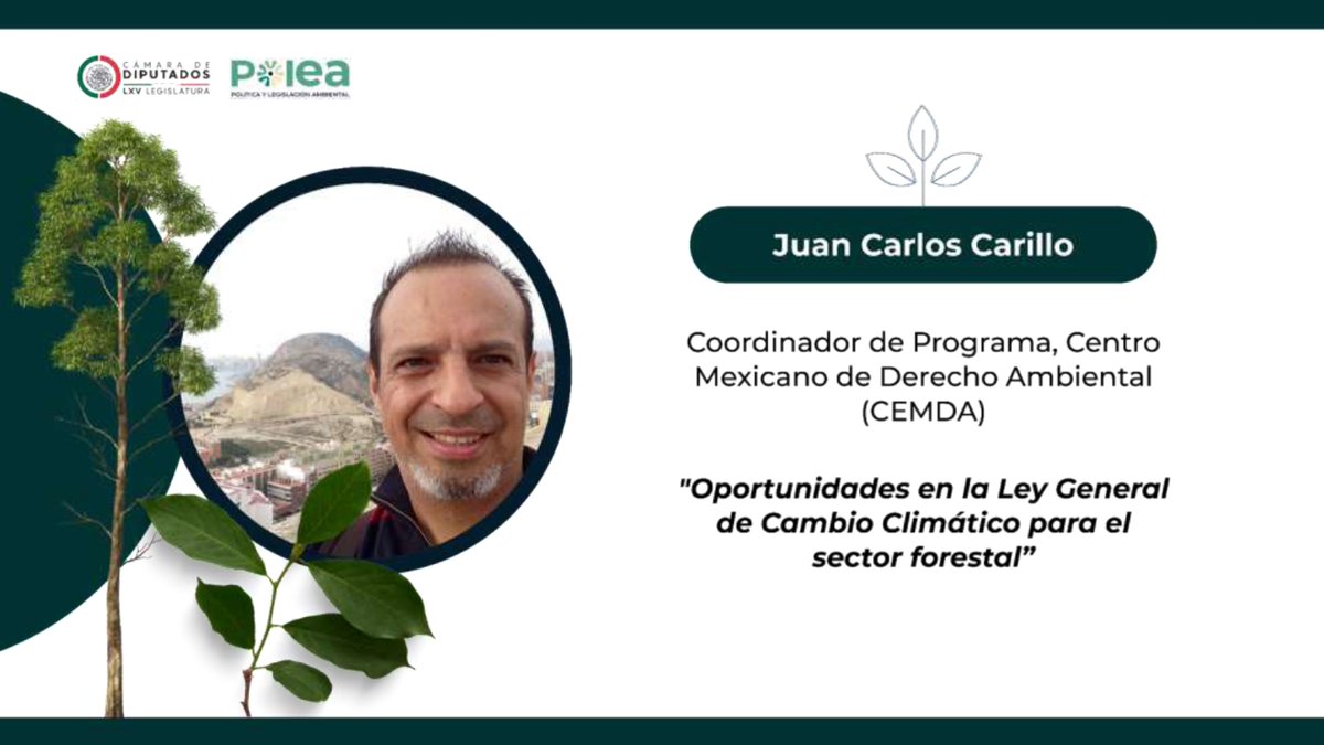 PoleaAC's tweet photo. 🟢Posteriormente se dio paso a la primera mesa de trabajo coordinada por la Dip. Adriana Bustamante @adribuscas, titulada:
"La #LGCC y los #Bosques: Cuál es su importancia en la actualidad"
#GAIA|@CEMDA|@RedMocaf https://t.co/7op3nKTdqO