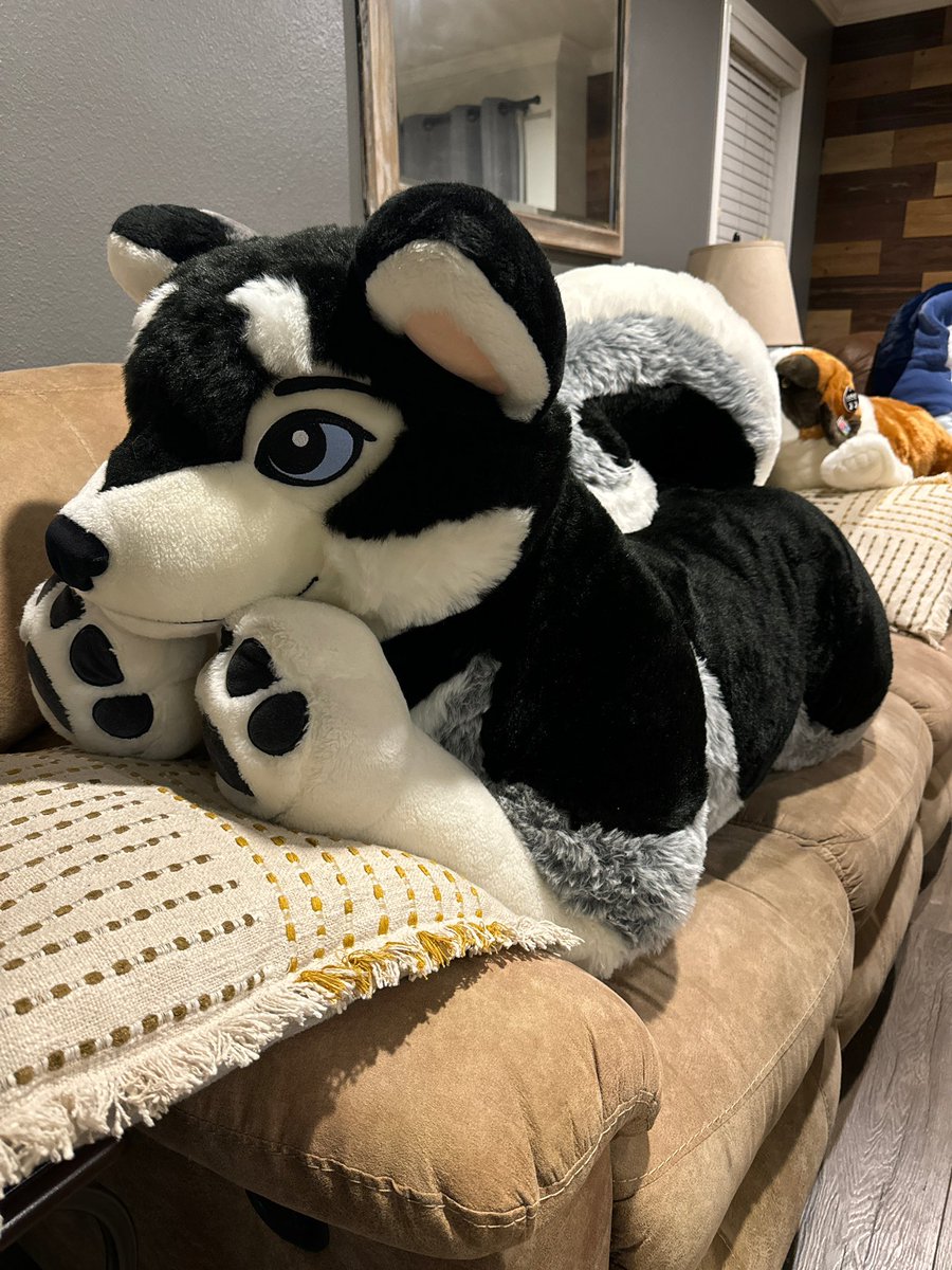 Another one joins the pack!