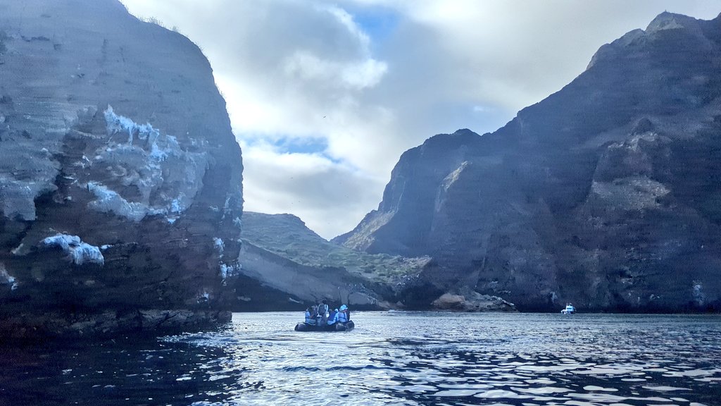 vickiemorgado1's tweet image. Spent the afternoon on Isabella Island via Zodiac seeing the spectacular coast of Ecuador volcano #Galapagos. Crossed the equator this evening and back on the North side. @NatGeoEducation @LindbladExp #whereiexplore #gtf2024 #grosvenorteacher
