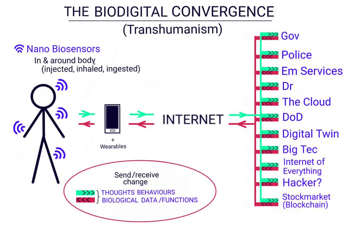 NowPayingAttn's tweet photo. @BarelyBook 🧵28

BioDigital Convergence 
🧠🧬📶🌐

A simple visual explanation👇 https://t.co/WjTdP97Rwh