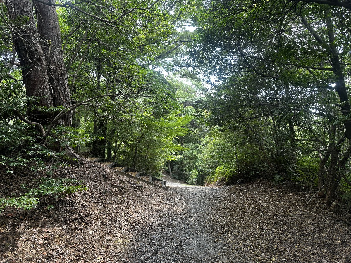 久しぶりの🚶‍♀️
森の中は涼しい🌳
#太陽が丘