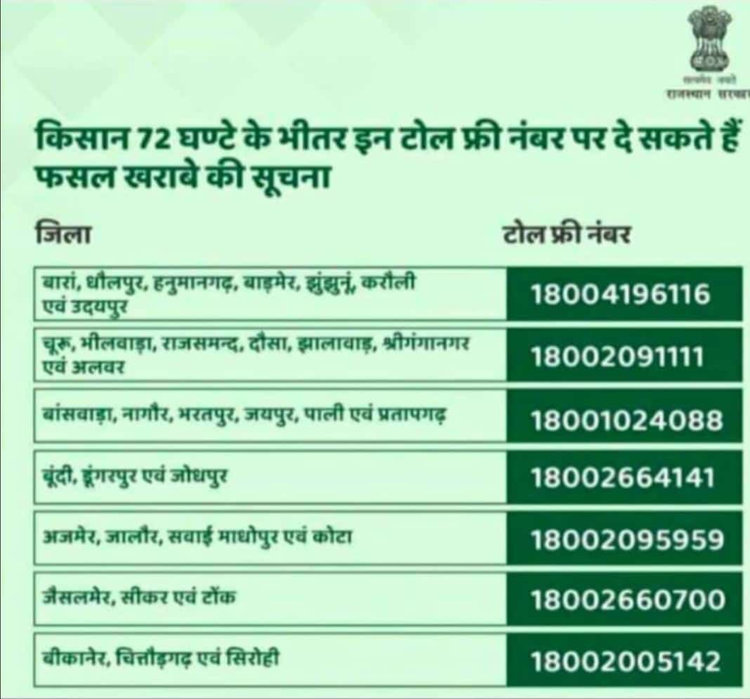 TR. BAJRANG SAINI (@bajranglasadia) on Twitter photo #किसान 72 घंटे के भीतर इन टोल फ्री नंबर पर दे सकते है फसल खराबे की सूचना
<a href="/Puransaini241/">Puran saini लसाडिया</a> , <a href="/LaxmanSaini1205/">laxman saini</a> , <a href="/KrishanKumhar10/">K L PRAJAPAT</a> , <a href="/navratansani10/">Navratan mali</a> <a href="/AbvpRameshwar/">Dr.JITENDRA SINGH GURJAR</a> , <a href="/MONU4217/">MONU RG</a> , <a href="/madhuri067/">Madhuri</a> #किसान 72 घंटे के भीतर इन टोल फ्री नंबर पर दे सकते है फसल खराबे की सूचना
<a href="/Puransaini241/">Puran saini लसाडिया</a> , <a href="/LaxmanSaini1205/">laxman saini</a> , <a href="/KrishanKumhar10/">K L PRAJAPAT</a> , <a href="/navratansani10/">Navratan mali</a> <a href="/AbvpRameshwar/">Dr.JITENDRA SINGH GURJAR</a> , <a href="/MONU4217/">MONU RG</a> , <a href="/madhuri067/">Madhuri</a>