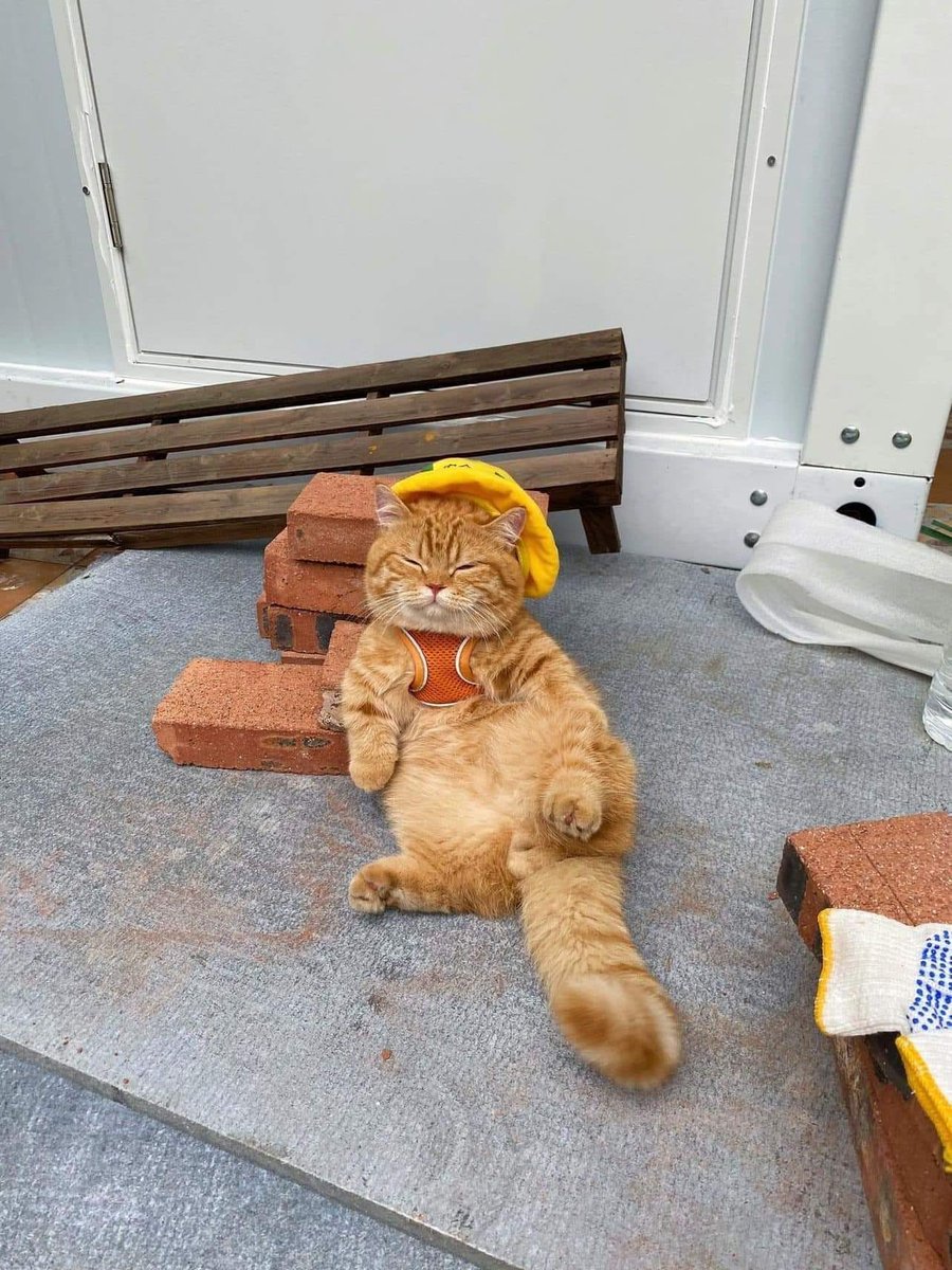 yankel0216's tweet image. ❤️